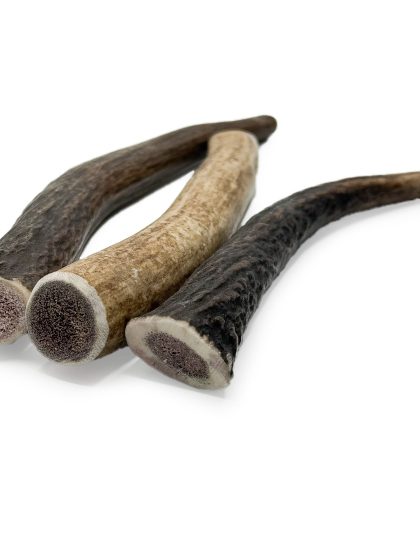 Red Deer Small Antler Chews for Puppies & Small Dogs